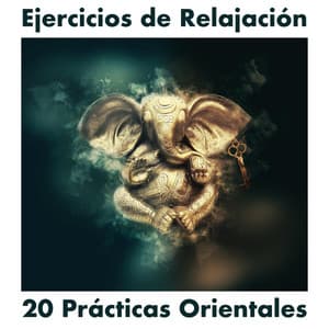 20 Prácticas Orientales - Música de Fondo para Ejercicios de Relajación, Meditaciónes Guiadas - Musica de Relajación Academy