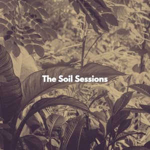 The Soil Sessions - Monday Morning Music