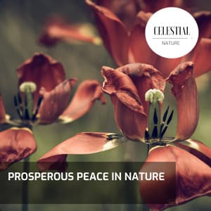 Prosperous Peace in Nature - Nature Radiance