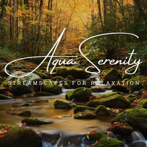 Aqua Serenity: Streamscapes for Relaxation - Waves of Atlantic