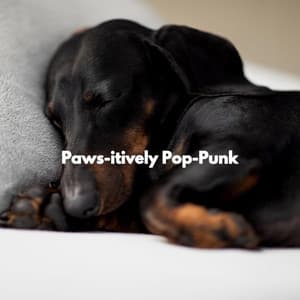 Paws-itively Pop-Punk - Old Classic Jazz