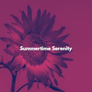 Summertime Serenity - Happy Jazz & Study