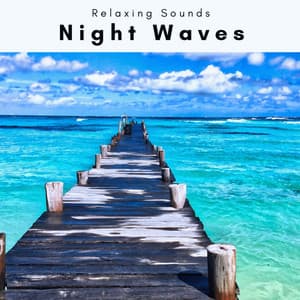 2022 Night Waves - Sleep Tech