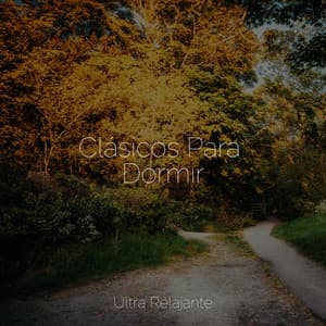 Clásicos Para Dormir - Musica para Dormir Dream House