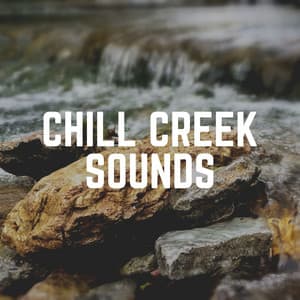 Chill Creek Sounds - The Water Sleepers