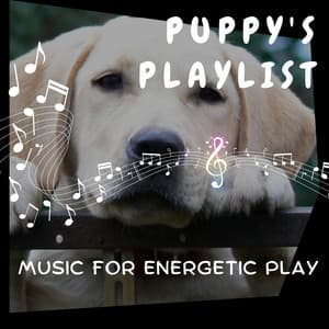 Puppy's Playlist - Music for Energetic Play - Puppy Music