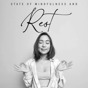 State of Mindfulness and Rest – Meditation Music Zone, Chakra, Healing Meditation, Inner Balance - Mindfulness Meditation Unit