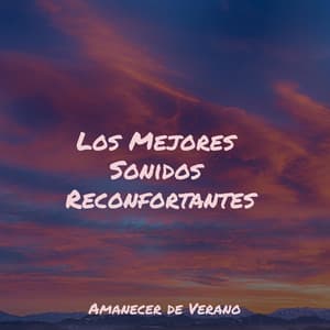 Los Mejores Sonidos Reconfortantes - Lullabyes
