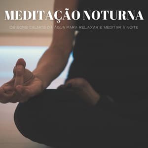 Meditação Noturna: Os Sons Calmos Da Água Para Relaxar E Meditar À Noite - Música Relax para Cafe