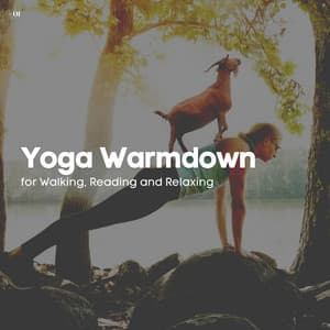 #01 Yoga Warmdown for Walking, Reading and Relaxing - Yoga & Meditación