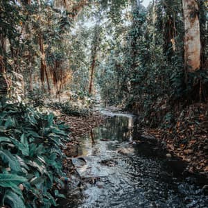 Relaxing Music: Meditative Waterside Retreat - Morning Chill Out Playlist