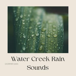 Water Creek Rain Sounds - Dormir Dan
