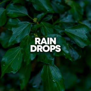 Rain Drops - Rainforest Sounds