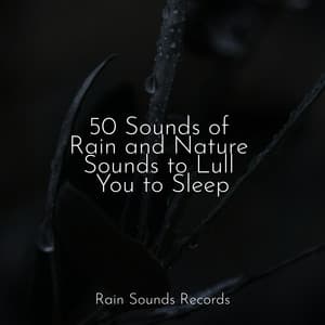 50 Sounds of Rain and Nature Sounds to Lull You to Sleep - Meditation
