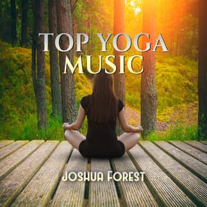 Top Yoga Music - Joshua Forest
