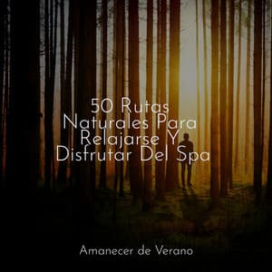 50 Rutas Naturales Para Relajarse Y Disfrutar Del Spa - Sonidos De Truenos y Lluvia