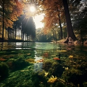 Tranquil Echoes: Music for Easy Relaxation - Relaxing Well