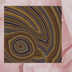 Tenor Sax Solo - Jazz Bossanova Playlist