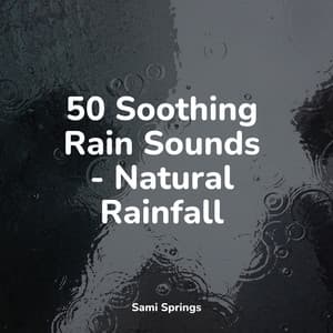 50 Soothing Rain Sounds - Natural Rainfall - Sounds of Nature Relaxation