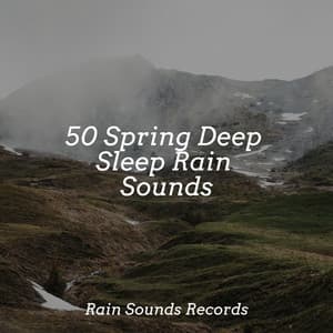 50 Spring Deep Sleep Rain Sounds - Lucid Dreaming Music