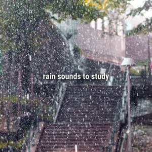 rain sounds to study - Sound Effects Library