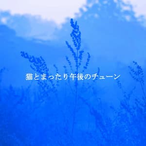 猫とまったり午後のチューン - Cocktail Lounge Music