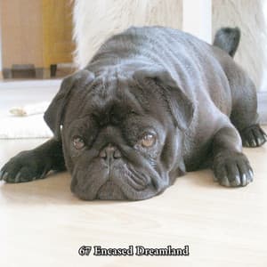 67 Encased Dreamland - Deep Sleep Music Experience