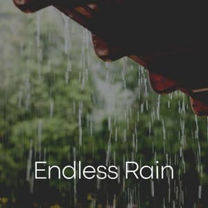 Endless Rain - The Sound Of The Rain