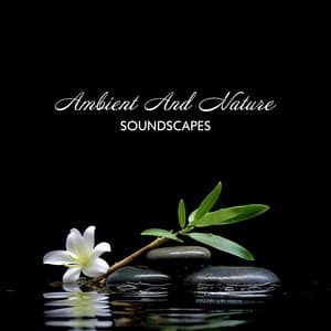 Ambient And Nature Soundscapes - Relaxation And Mindfulness Boost: Spa Ambiance - Spa Relief