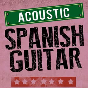 Acoustic: Spanish Guitar - Acoustic Guitar