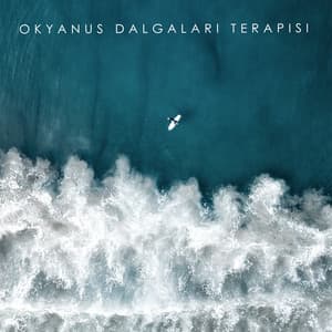 Okyanus Dalgaları Terapisi: Stres Atma, Uyku, Meditasyon, Spa için Gevşeme Müziği - Doğanın Müziği
