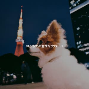 おうちでの怠惰な犬の一日 - Calm Instrumental Jazz