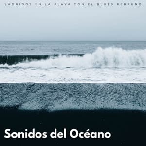 Sonidos Del Océano: Ladridos En La Playa Con El Blues Perruno - Sonidos De Oceano