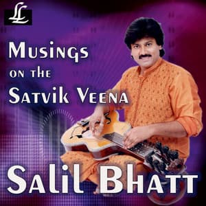 Musings on the Satvik Veena - Salil Bhatt