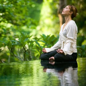 Ethereal Peace of Yoga: Nature's Rain with Gentle ASMR Sounds - Rain and Chill