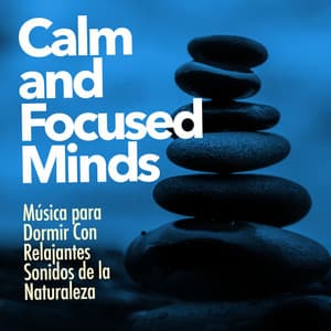 Calm and Focused Minds - Música para Dormir Con Relajantes Sonidos de la Naturaleza