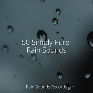 50 Simply Pure Rain Sounds - Nature Sounds