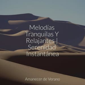 Melodías Tranquilas Y Relajantes | Serenidad Instantánea - Música a Relajarse