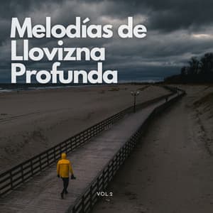Melodías De Llovizna Profunda Vol. 2 - Lluvia y frío
