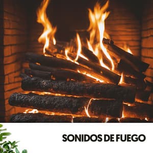 Sonidos de Fuego: Serene Sounds for Restful Nights - Dog Relaxation