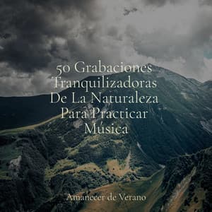 50 Grabaciones Tranquilizadoras De La Naturaleza Para Practicar Música - Relajación Meditar Academie