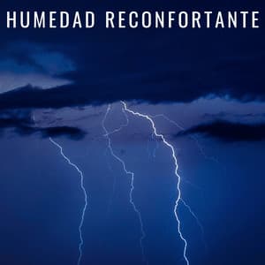 Humedad Reconfortante - Efectos especiales de sonidos de lluvia