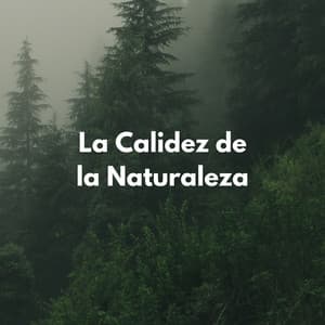 La Calidez De La Naturaleza - Música de la naturaleza Canciones de la naturaleza