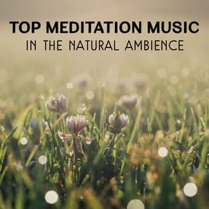 Top Meditation Music in the Natural Ambience – Yoga Exercises Sounds, Stress Relief, Inner Harmony, Relaxing Healing Music - Natural Surroundings Academy