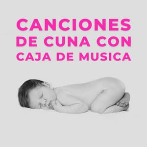 Canciones De Cuna Con Caja de Musica - Benjamin Bonum Nocte
