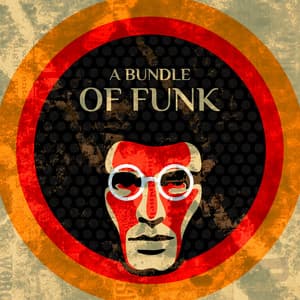 A Bundle of Funk – Funky Jazz Grooves & Acid Jazz to Make Your Day Better, Uplifting Lounge Music - Dennis Robinson