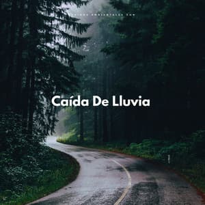 Sonidos Ambientales Con Caída De Lluvia - Sonido de lluvia ASMR