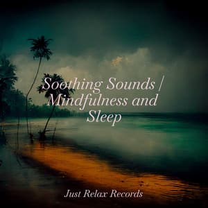 Soothing Sounds | Mindfulness and Sleep - Natural Sounds