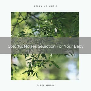 Colorful Noises Selection For Your Baby - Sleep & Dream Music Academy