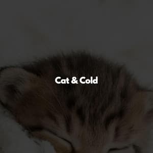 Cat & Cold - Happy Morning Jazz